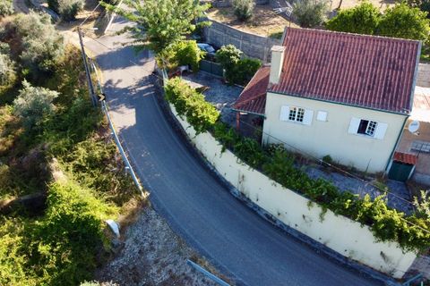 Villa i Tomar, Santarem, Tomar - € 199.500 | Ref: TL043 - foto 28