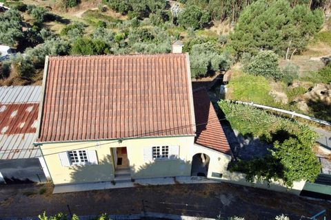 Villa i Tomar, Santarem, Tomar - € 199.500 | Ref: TL043 - foto 30