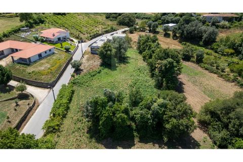 Helårsgrund i Valenca, Viana do Castelo, Valenca - € 38.000 | Ref: B3184 - foto 2