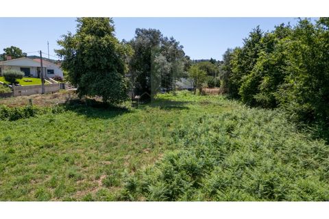 Helårsgrund i Valenca, Viana do Castelo, Valenca - € 38.000 | Ref: B3184 - foto 5