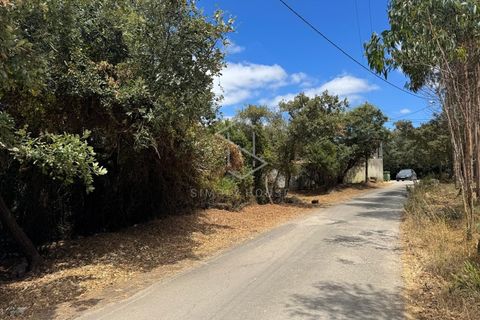Helårsgrund i Alcobaca, Leiria, Alcobaca - € 72.500 | Ref: 712101-170 - foto 2