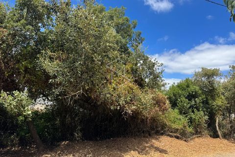 Helårsgrund i Alcobaca, Leiria, Alcobaca - € 72.500 | Ref: 712101-170 - foto 3