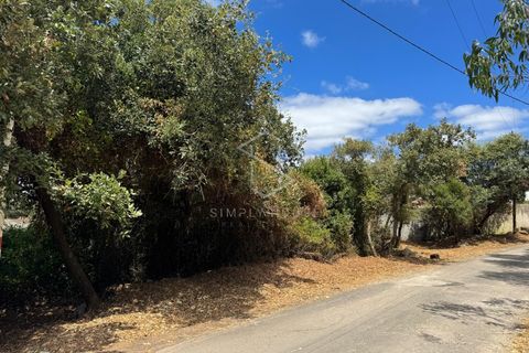 Helårsgrund i Alcobaca, Leiria, Alcobaca - € 72.500 | Ref: 712101-170 - foto 5