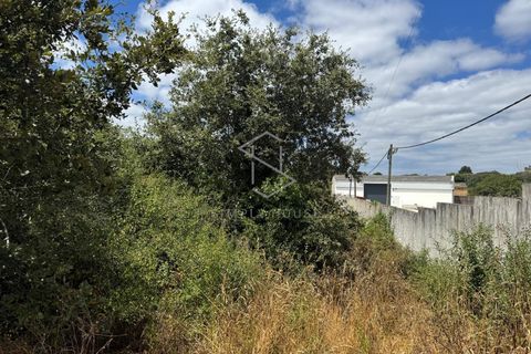 Helårsgrund i Alcobaca, Leiria, Alcobaca - € 72.500 | Ref: 712101-170 - foto 6