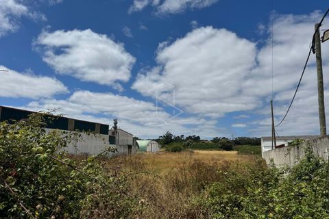 Helårsgrund i Alcobaca, Leiria, Alcobaca - € 72.500 | Ref: 712101-170 - foto 9