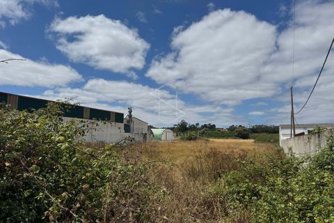Helårsgrund i Alcobaca, Leiria, Alcobaca - € 72.500 | Ref: 712101-170 - foto 10
