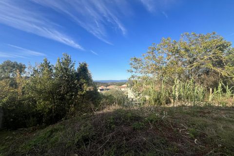Terra a Pomas, Aude, Pomas - € 38.000 | Ref: 5767 - foto 3