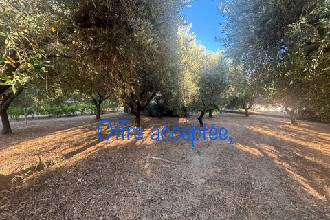 Terra a Figanières, Var, Figanières - € 159.000 | Ref: 1832 - foto 2