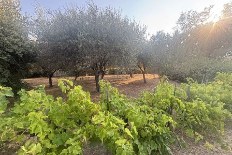 Terra a Figanières, Var, Figanières - € 159.000 | Ref: 1832 - foto 3
