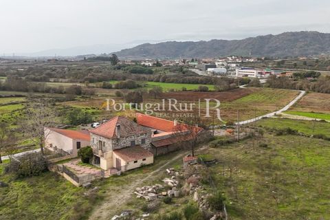 Farm i Belmonte, Castelo Branco, Belmonte - € 750.000 | Ref: JF4 - foto 3