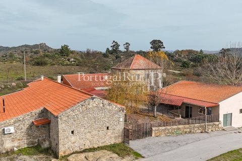 Farm i Belmonte, Castelo Branco, Belmonte - € 750.000 | Ref: JF4 - foto 5