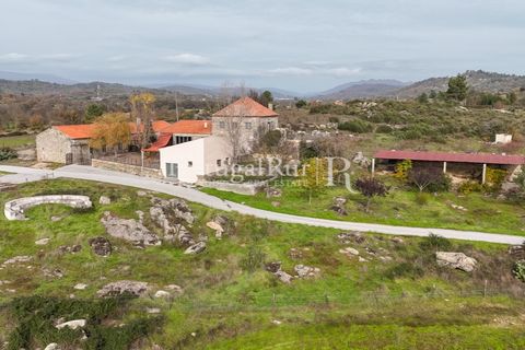 Farm i Belmonte, Castelo Branco, Belmonte - € 750.000 | Ref: JF4 - foto 6