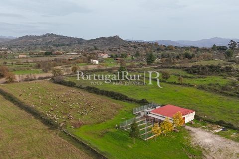 Farm i Belmonte, Castelo Branco, Belmonte - € 750.000 | Ref: JF4 - foto 46