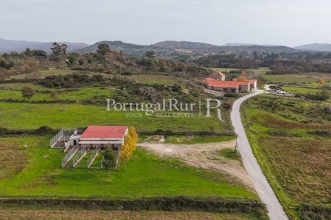 Farm i Belmonte, Castelo Branco, Belmonte - € 750.000 | Ref: JF4 - foto 47