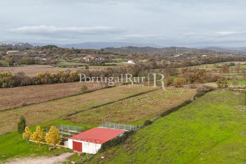Farm i Belmonte, Castelo Branco, Belmonte - € 750.000 | Ref: JF4 - foto 48
