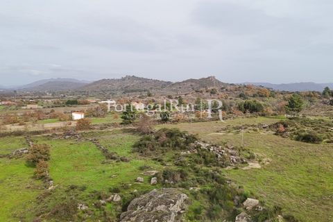 Farm i Belmonte, Castelo Branco, Belmonte - € 750.000 | Ref: JF4 - foto 50