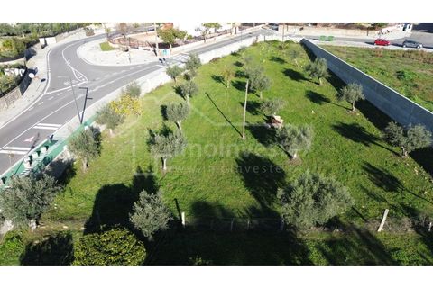 Terra a Alcains, Castelo Branco, Alcains - € 78.000 | Ref: SÒL_1010 - foto 2