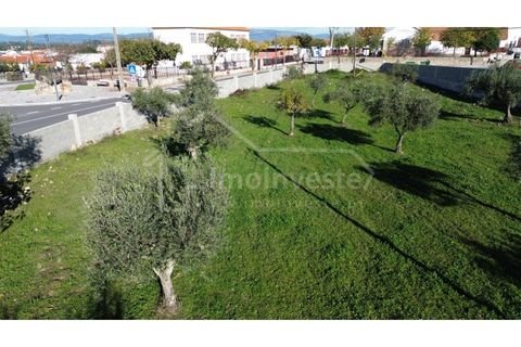 Terra a Alcains, Castelo Branco, Alcains - € 78.000 | Ref: SÒL_1010 - foto 3