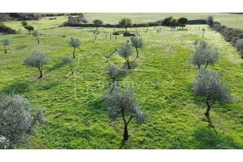 Terra a Alcains, Castelo Branco, Alcains - € 53.000 | Ref: SÒL_999 - foto 5