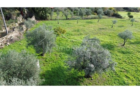 Terra a Alcains, Castelo Branco, Alcains - € 53.000 | Ref: SÒL_999 - foto 6