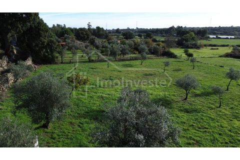 Terra a Alcains, Castelo Branco, Alcains - € 53.000 | Ref: SÒL_999 - foto 7