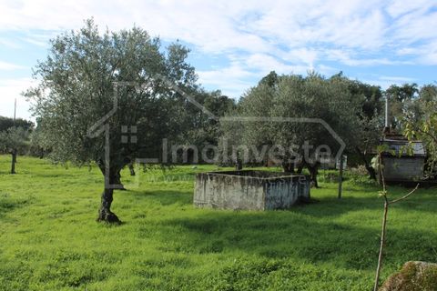 Terra a Alcains, Castelo Branco, Alcains - € 53.000 | Ref: SÒL_999 - foto 10