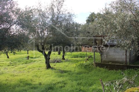 Terra a Alcains, Castelo Branco, Alcains - € 53.000 | Ref: SÒL_999 - foto 11