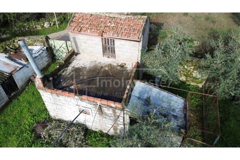 Terra a Alcains, Castelo Branco, Alcains - € 53.000 | Ref: SÒL_999 - foto 13