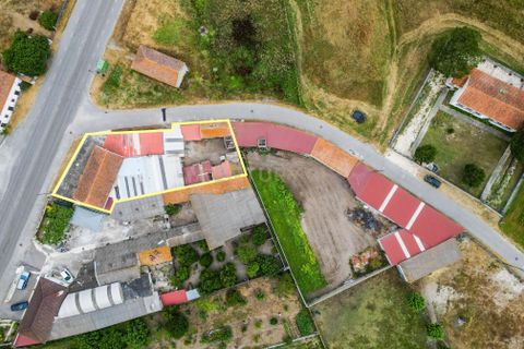 Villa i Cantanhede, Coimbra, Cantanhede - € 210.000 | Ref: C0372-01647 - foto 6