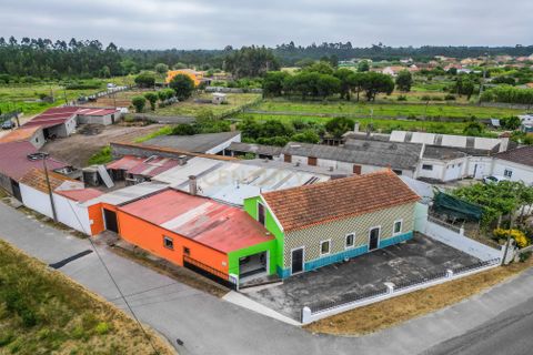 Villa i Cantanhede, Coimbra, Cantanhede - € 210.000 | Ref: C0372-01647 - foto 45