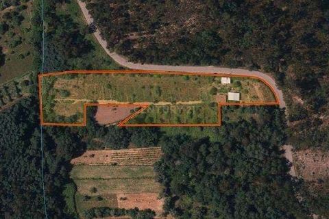 Helårsgrund i Coimbra, Coimbra, Coimbra - € 250.000 | Ref: C0372-01649 - foto 1