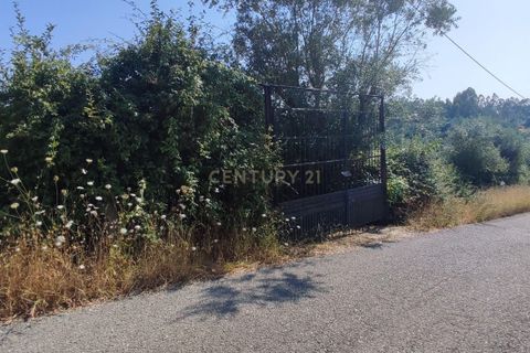 Helårsgrund i Coimbra, Coimbra, Coimbra - € 250.000 | Ref: C0372-01649 - foto 2