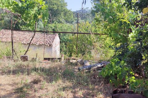 Helårsgrund i Coimbra, Coimbra, Coimbra - € 250.000 | Ref: C0372-01649 - foto 3