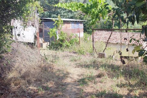 Helårsgrund i Coimbra, Coimbra, Coimbra - € 250.000 | Ref: C0372-01649 - foto 5