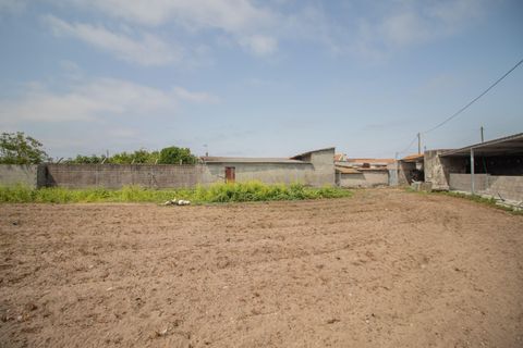 Helårsgrund i Cantanhede, Coimbra, Cantanhede - € 80.000 | Ref: C0372-01653 - foto 2