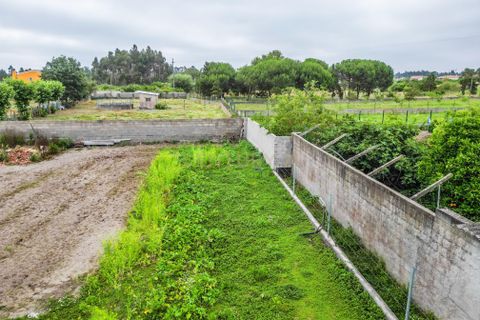 Helårsgrund i Cantanhede, Coimbra, Cantanhede - € 80.000 | Ref: C0372-01653 - foto 3