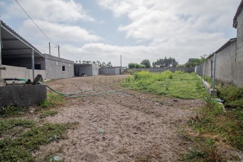 Helårsgrund i Cantanhede, Coimbra, Cantanhede - € 80.000 | Ref: C0372-01653 - foto 4