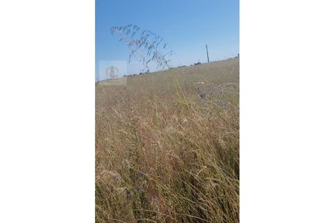 Helårsgrund i Alpiarca, Santarem, Alpiarca - € 32.000 | Ref: VIP_042 - foto 2