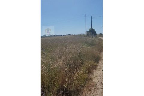 Helårsgrund i Alpiarca, Santarem, Alpiarca - € 32.000 | Ref: VIP_042 - foto 3