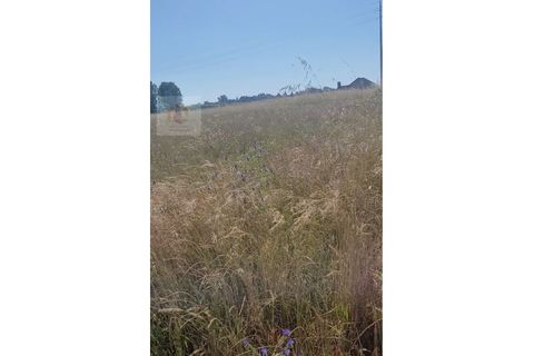 Helårsgrund i Alpiarca, Santarem, Alpiarca - € 32.000 | Ref: VIP_042 - foto 4