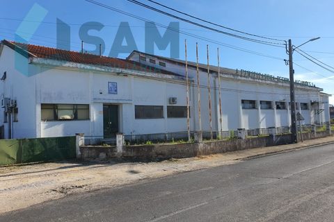 Bungalou a Alcanhoes, Santarem, Alcanhoes - € 400.000 | Ref: TV/SM014-25 - foto 3