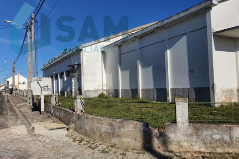 Bungalou a Alcanhoes, Santarem, Alcanhoes - € 400.000 | Ref: TV/SM014-25 - foto 4