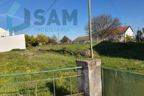 Bungalou a Alcanhoes, Santarem, Alcanhoes - € 400.000 | Ref: TV/SM014-25 - foto 16
