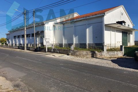 Bungalou a Alcanhoes, Santarem, Alcanhoes - € 400.000 | Ref: TV/SM014-25 - foto 11