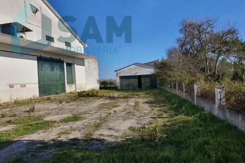 Bungalou a Alcanhoes, Santarem, Alcanhoes - € 400.000 | Ref: TV/SM014-25 - foto 12