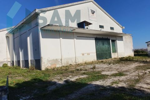 Bungalou a Alcanhoes, Santarem, Alcanhoes - € 400.000 | Ref: TV/SM014-25 - foto 13