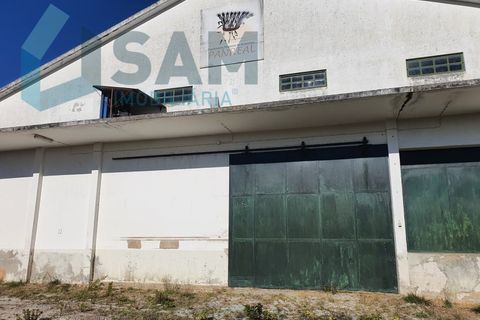 Bungalou a Alcanhoes, Santarem, Alcanhoes - € 400.000 | Ref: TV/SM014-25 - foto 15