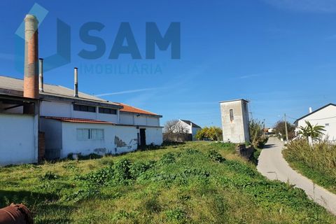 Bungalou a Alcanhoes, Santarem, Alcanhoes - € 400.000 | Ref: TV/SM014-25 - foto 18
