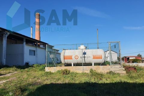 Bungalou a Alcanhoes, Santarem, Alcanhoes - € 400.000 | Ref: TV/SM014-25 - foto 19