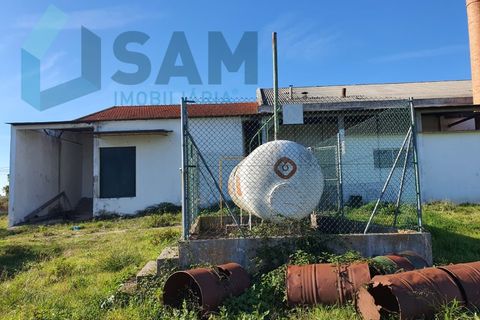 Bungalou a Alcanhoes, Santarem, Alcanhoes - € 400.000 | Ref: TV/SM014-25 - foto 20